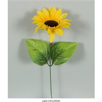 藏品(太陽花塑膠裝飾)的圖片