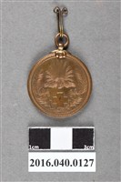 藏品(明治三十七八年戰役救護紀念章)的圖片