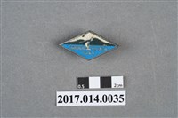 藏品(日月潭之旅紀念章)的圖片