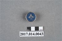 藏品(中華民國童軍總會紀念章)的圖片