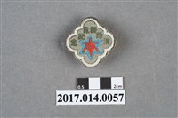 藏品(臺南縣消除髒亂紀念章)的圖片