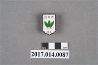 藏品(民國63年青年杯徽章)的圖片