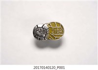 藏品(臺灣區排球與躲避球比賽紀念章)的圖片