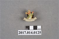 藏品(民國57年臺灣區民族舞蹈決賽紀念章)的圖片