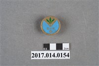 藏品(青年盃紀念章)的圖片