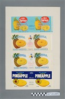 藏品(日本GEISHA等鳳梨罐頭外銷商標)的圖片