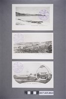 藏品(鵝鸞鼻)的圖片