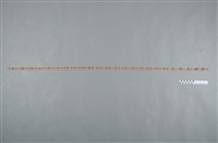 藏品(黃絲緞花卉幾何紋飾帶)的圖片