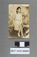 藏品(明星卡)的圖片