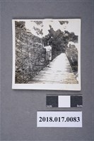 藏品(阿蘭於觸口天長橋)的圖片