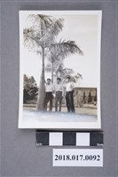 藏品(林坤佐與二男站在椰子樹下)的圖片