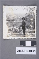 藏品(王麗雲)的圖片