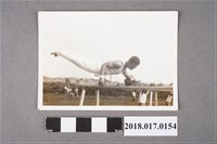 藏品(何欣鐘練雙槓)的圖片