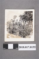 藏品(何碧雲與何仁傑等八人於花圃)的圖片