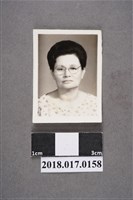 藏品(何王真證件照)的圖片