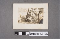 藏品(林坤佐與二名男子)的圖片