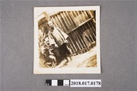 藏品(林陳葱於自家庭院)的圖片