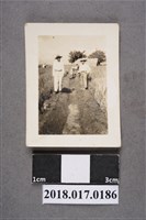 藏品(實行協會修補小水路)的圖片