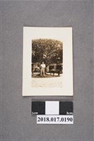 藏品(男子於大榕樹下)的圖片