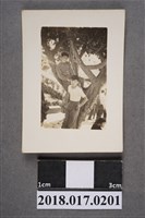 藏品(二名中學男生)的圖片