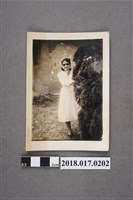 藏品(商林淑美)的圖片