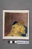 藏品(嬰兒)的圖片