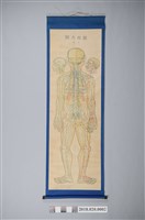藏品(長崎繁吉〈經穴大圖（背面）〉)的圖片