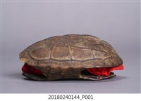 藏品(龜卦)的圖片