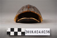 藏品(龜卦)的圖片