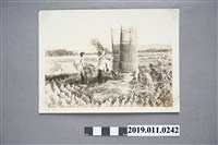 藏品(黑白人物照)的圖片