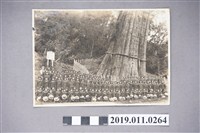 藏品(日治時期人物合影)的圖片