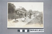 藏品(巡查大人)的圖片