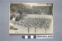 藏品(台灣勤報青年隊花蓮港體操照片)的圖片