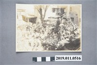 藏品(女學生整理花圃照)的圖片