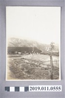 藏品(霧社公學校)的圖片