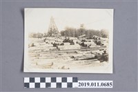 藏品(貯木池)的圖片