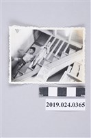 藏品(柯潔芳與柯志明於家中（六合一路）)的圖片