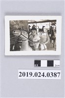 藏品(柯志明騎旋轉木馬)的圖片
