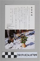 藏品(岡崎郁子寄柯蔡阿李明信片)的圖片