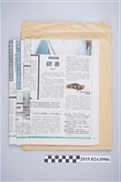 藏品(2005年8月台灣日報副刊柯旗化相關剪報)的圖片