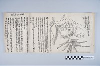 藏品(清濁二水陂圳圖手繪地圖)的圖片