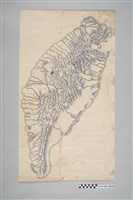 藏品(全臺防汛地圖)的圖片