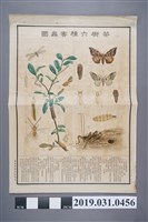 藏品(臺灣總督府殖產局茶樹六種害蟲圖海報)的圖片