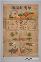藏品(臺灣省政府農林廳編印摘採的菁茶海報與六祖傳下五宗三派之圖)的圖片