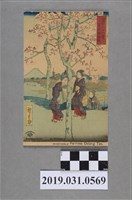 藏品(富士山景色東都隅田提繪圖明信片)的圖片