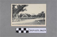 藏品(臺灣茶臺北公園孩童風景明信片)的圖片