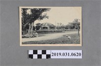 藏品(臺灣茶臺北公園孩童風景明信片)的圖片