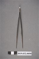 藏品(鑷子)的圖片