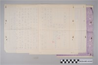 藏品(出生證明書與申請書)的圖片