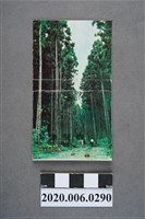 藏品(溪頭餐廳火柴盒)的圖片